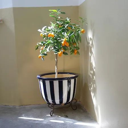 Будинок відпочинку Il 23 Ла-Спеція