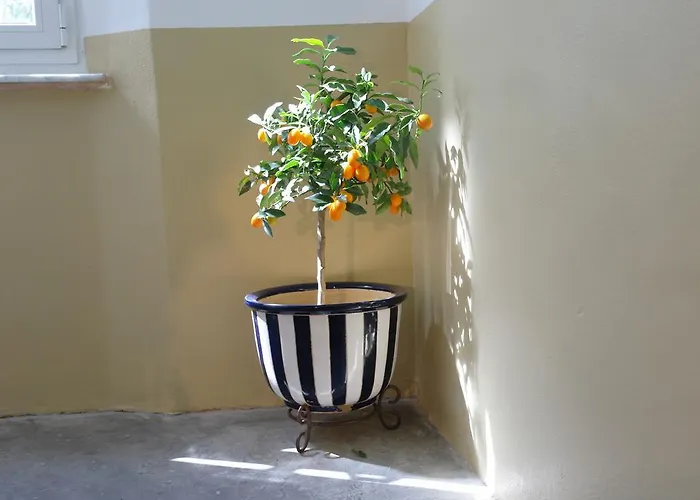 Сasa de vacaciones Il 23 La Spezia